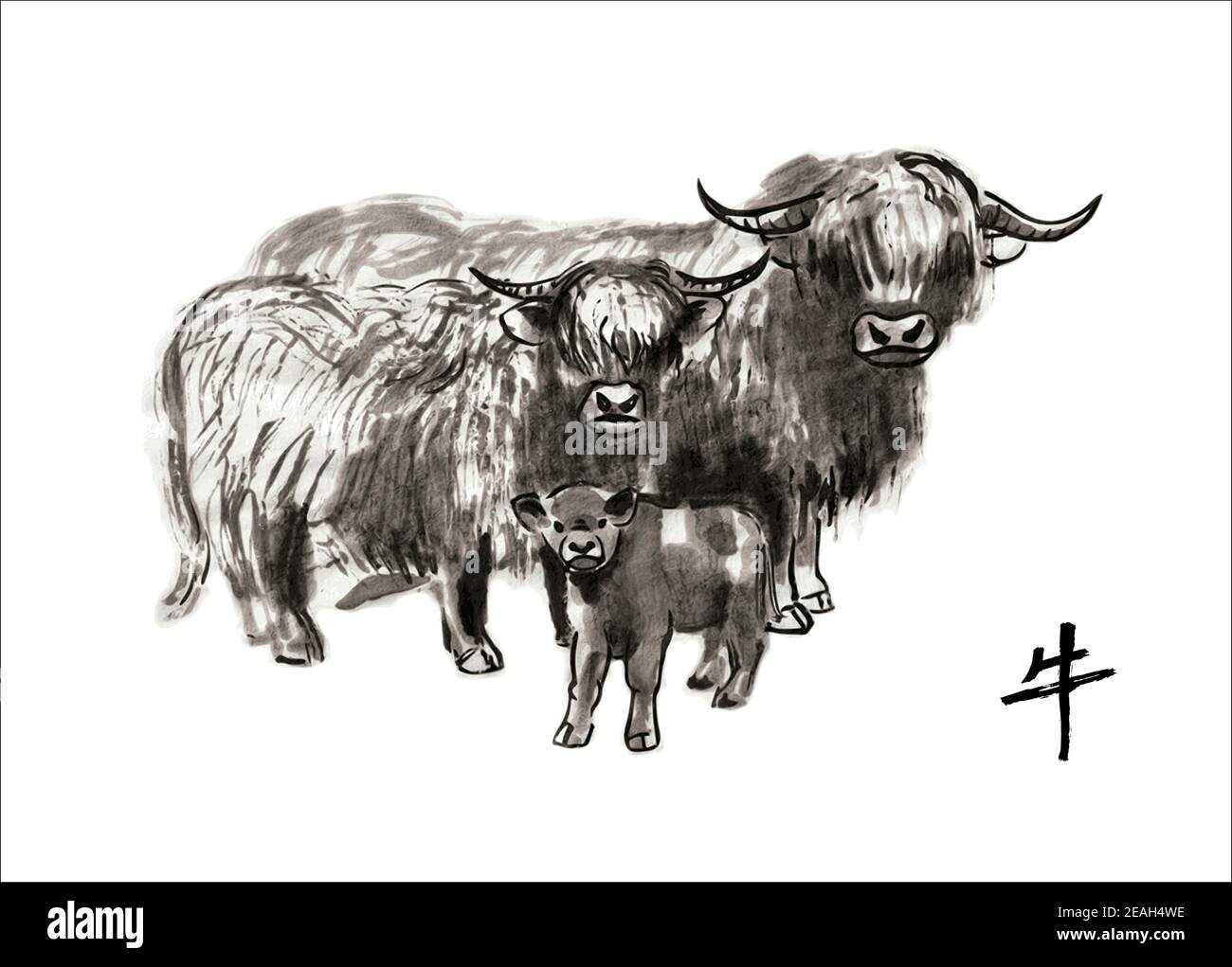 Famiglia di bovini delle Highlands: toro, mucca e vitello, vettore sumi-e illustrazione. Pittura orientale di lavaggio dell'inchiostro. Simbolo del nuovo anno orientale dell'Ox. Illustrazione Vettoriale