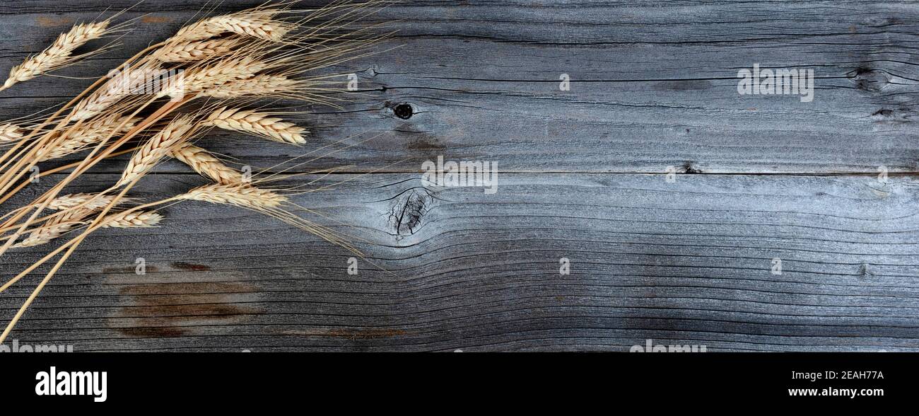 Vista dall'alto degli steli di grano essiccato o dell'orecchio sugli agenti atmosferici tavole di legno Foto Stock