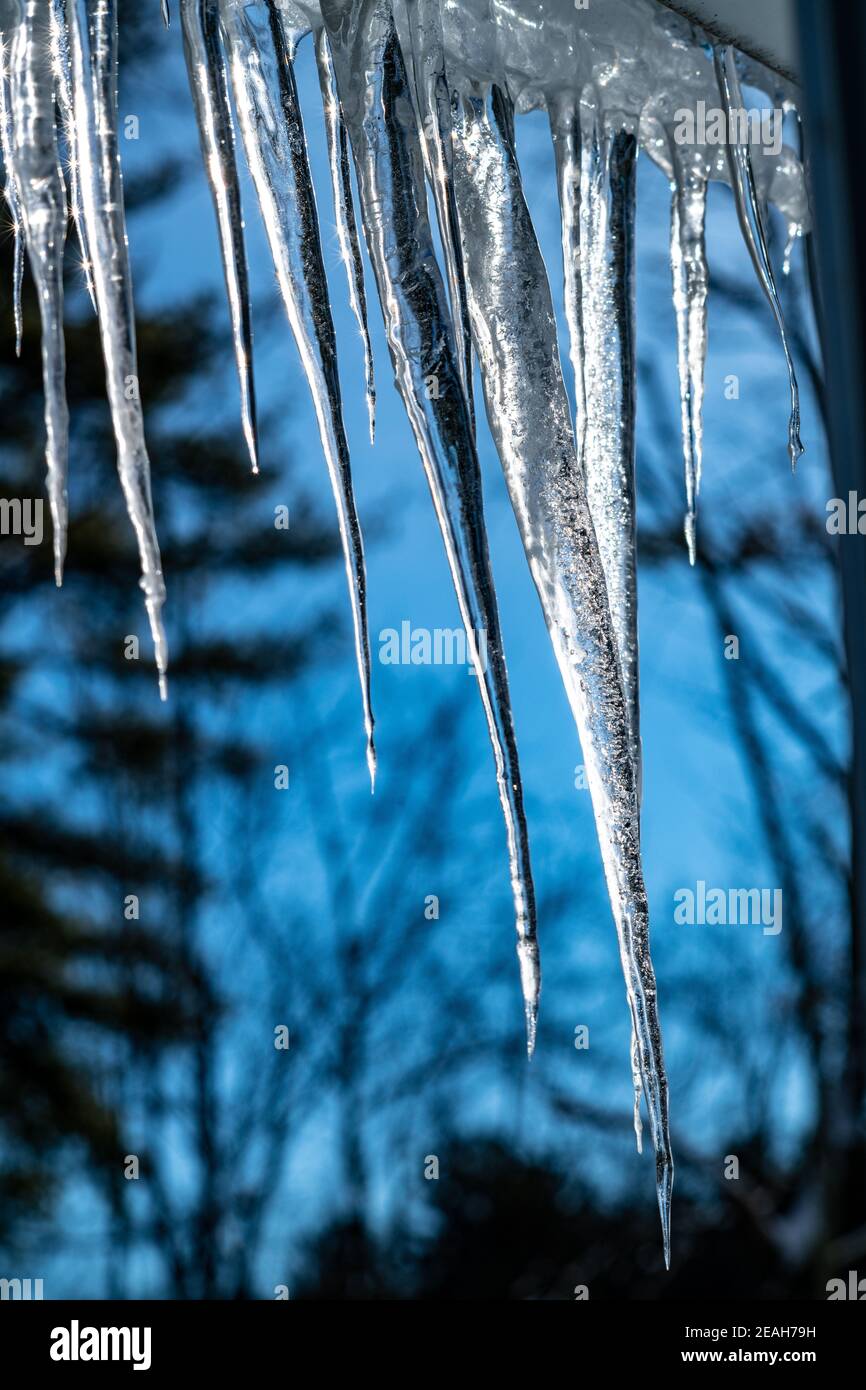 Connecticut, USA, 8 febbraio 2021 - Icecles appesi al tetto di una casa vista contro il sole che sorge in una giornata invernale innevata. Credit: Enrique Shore/ Foto Stock