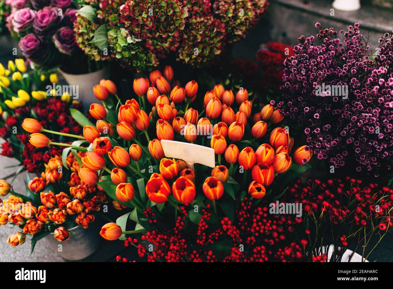 Fiori diversi in una vetrina con prezzo vuoto tag Foto Stock