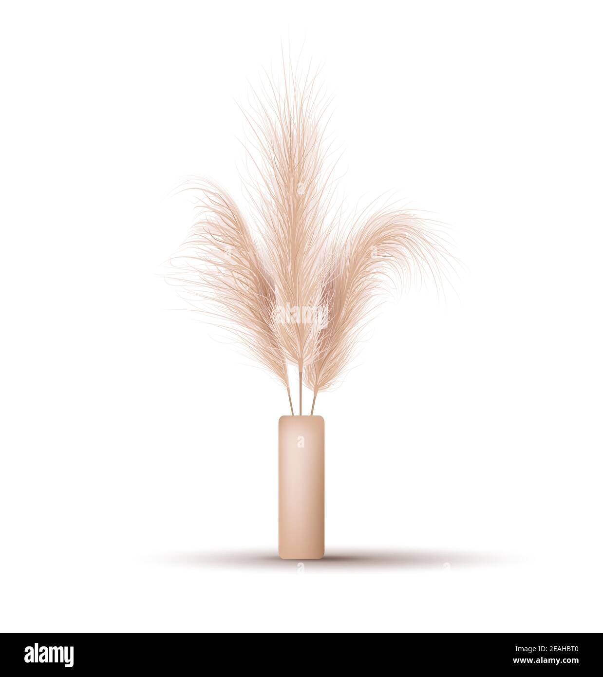 Pampas erba in vaso. Elementi decorativi floreali essiccati in stile boho. Illustrazione vettoriale isolata su sfondo bianco. Nuovo arredamento alla moda. Elegante Illustrazione Vettoriale