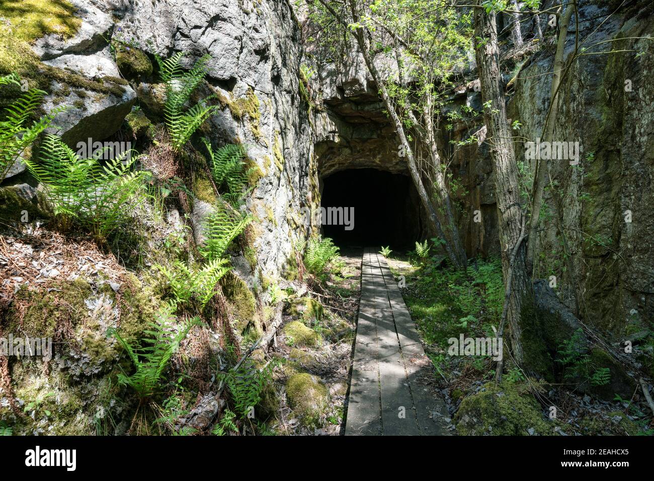 Un tunnel temporale della seconda Guerra Mondiale sull'isola di Ulko-Tammio, Hamina, Finlandia Foto Stock