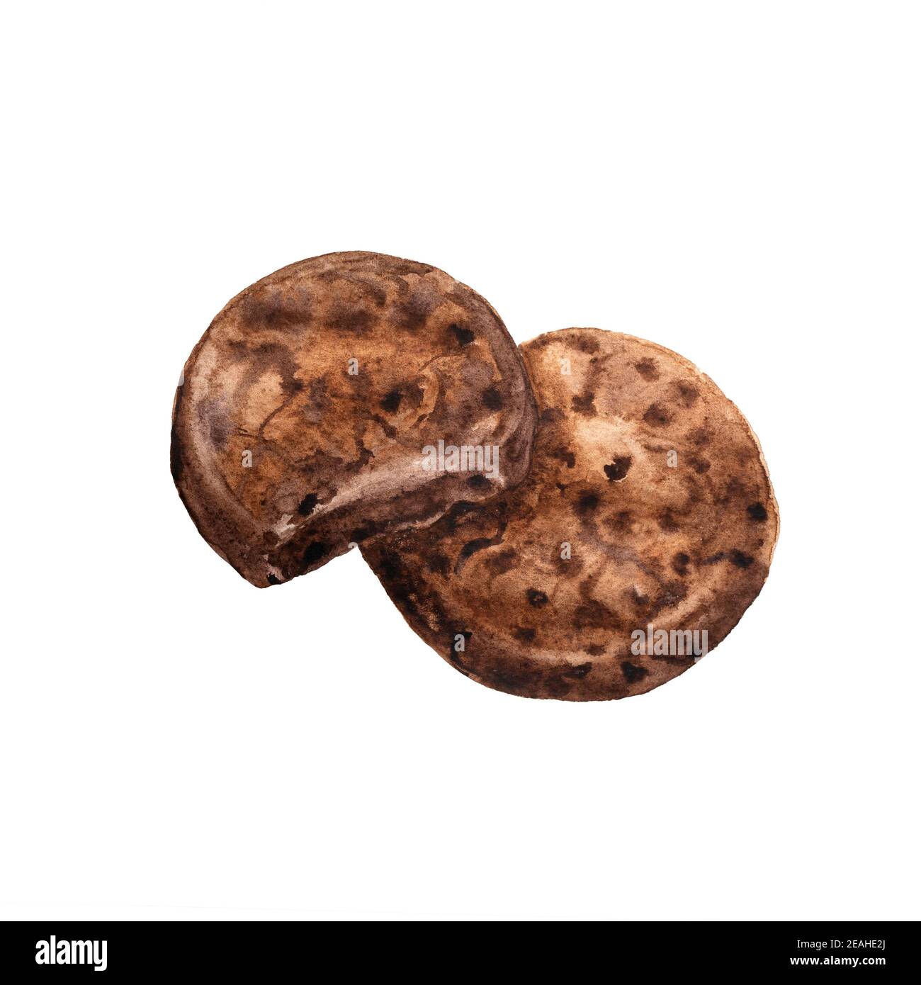 biscotti brownie al cioccolato con gocce di cioccolato, illustrazione dell'acquerello disegnata a mano isolata su sfondo bianco. Foto Stock