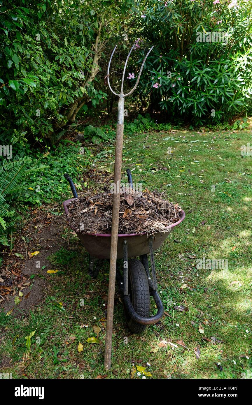 Una carriola piena di composto ha una forchetta che si inclina verso l'alto contro di esso in attesa di essere sparso Foto Stock