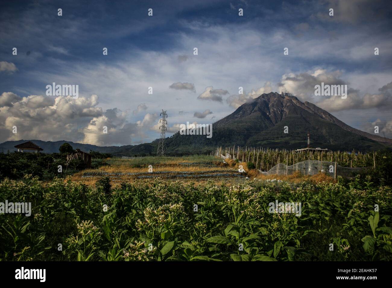 Berastagi, Indonesia. 09 febbraio 2021. L'altezza del Monte Sinabung nel distretto di Karo, Sumatra Nord è aumentata a causa della formazione di nuova lava cubana di circa 100-200 metri dai 2,460 metri precedenti. Il Centro per la Volcanologia e la mitigazione dei disastri geologici prevede che ci saranno valanghe di nuvola calda entro 5 km dalla cima, dirigendosi a sud-est. Credit: SOPA Images Limited/Alamy Live News Foto Stock