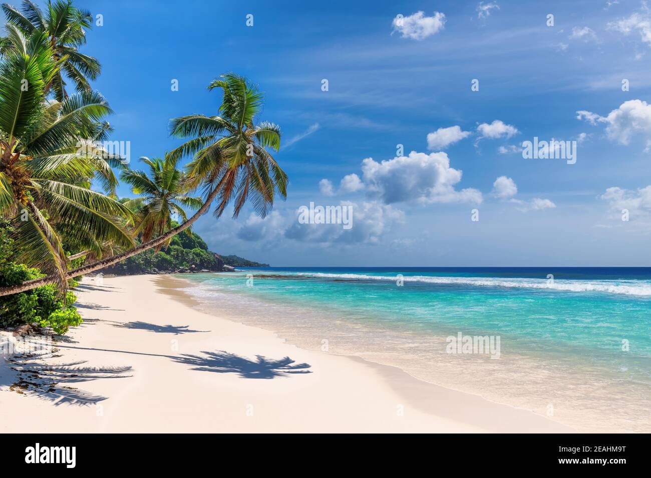 Paradise Sunny spiaggia con palme da cocco e mare turchese. Foto Stock