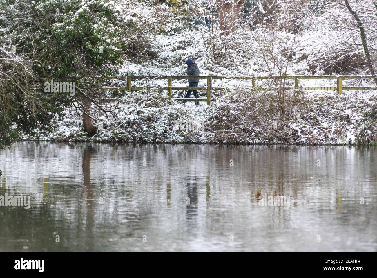 Priory Park a Southend on Sea, Essex, Regno Unito, con neve da Storm Darcy. Persona che cammina attraverso la zona boscosa nevosa sopra il lago di pesca. Passeggiata invernale Foto Stock