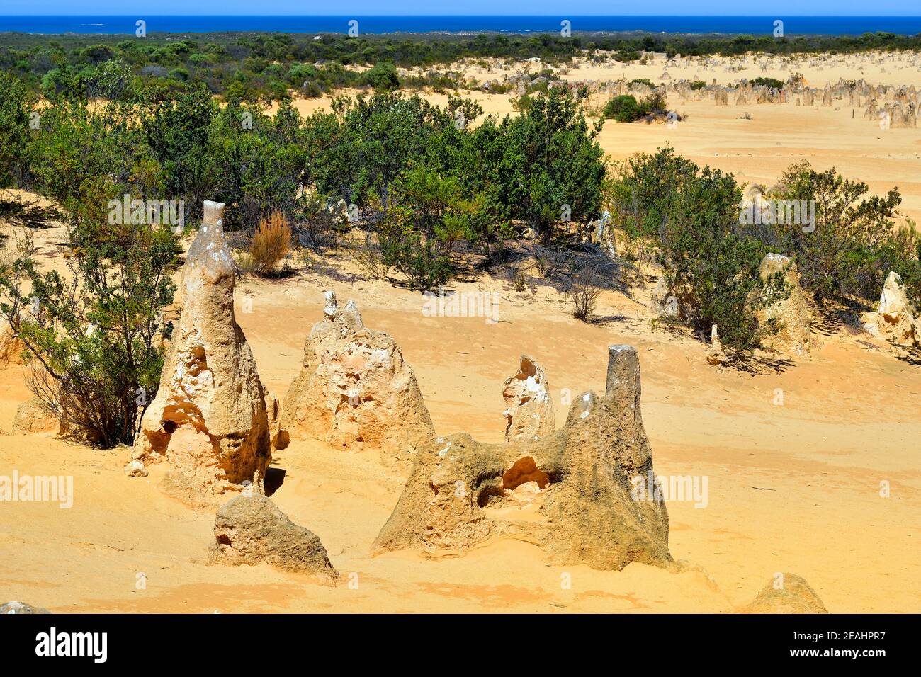 Westaustralien, Steinformationen die Pinnacles im Namburn Nationalpark, Indischer Ozean im Hintergrund, Australia, WA, i Pinnacles a Nambung Natio Foto Stock