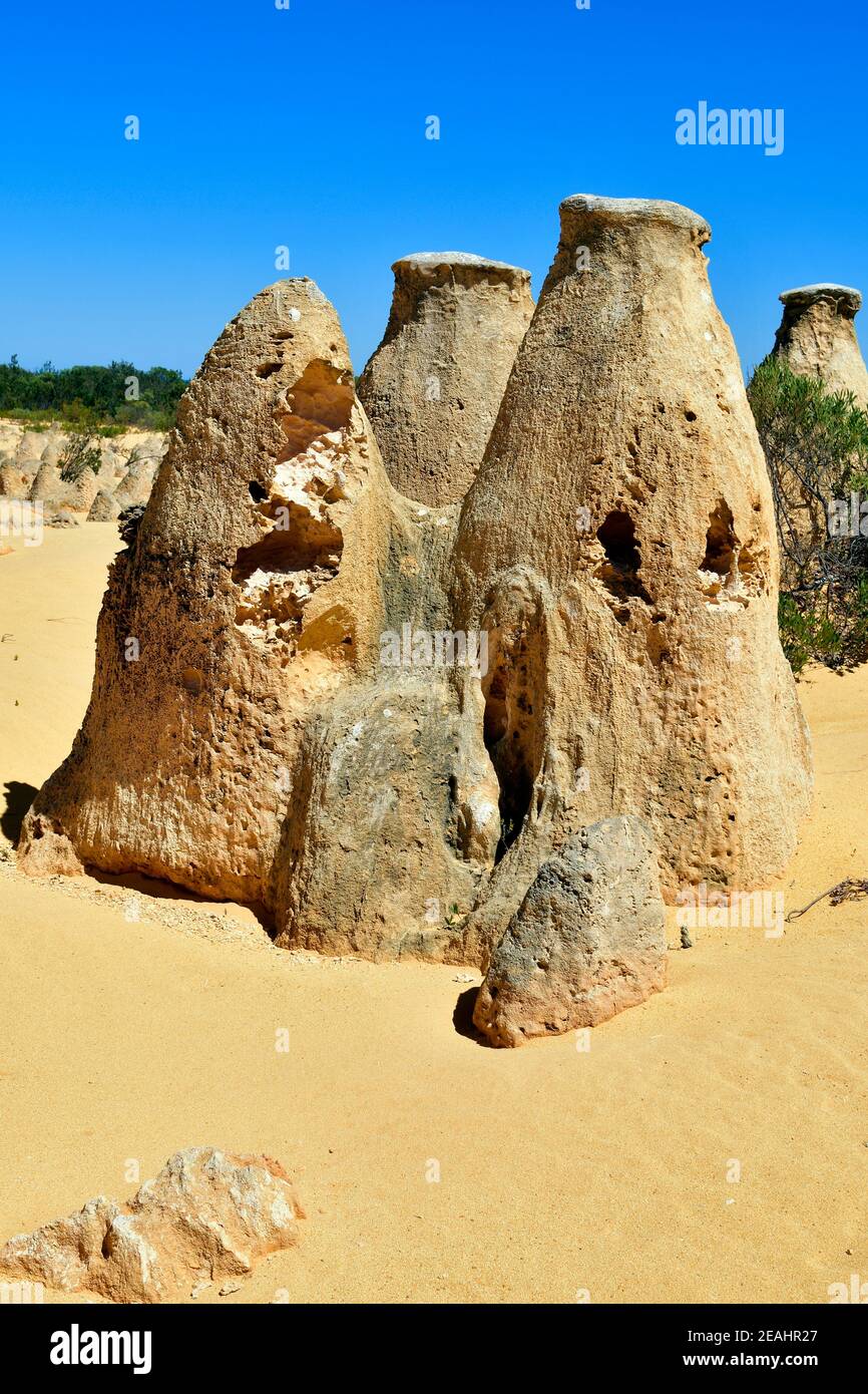 Westaustralien, Steinformation Pinnacles im Nambung Nationalpark bei Cervantes Foto Stock