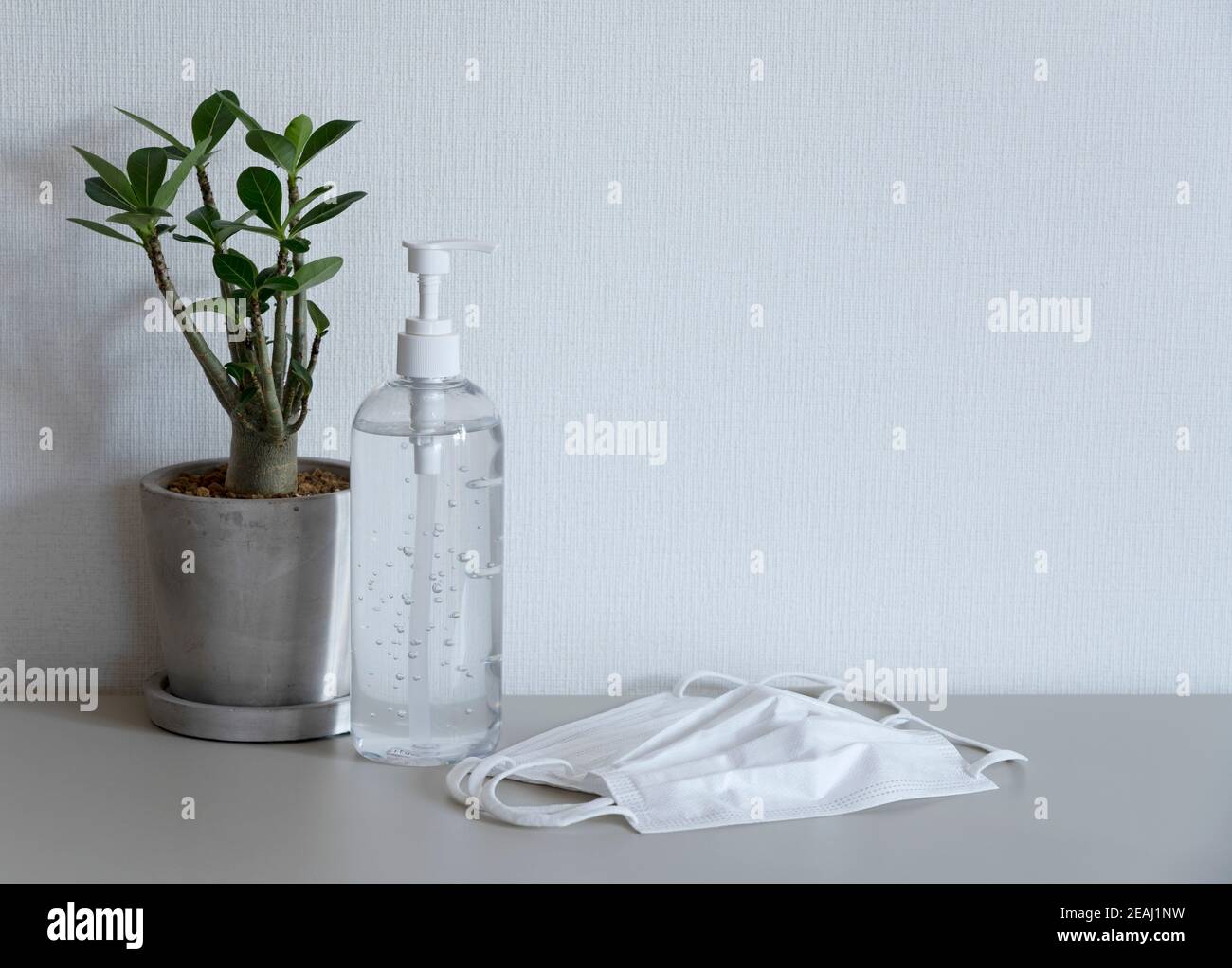 Gel igienizzante, maschera e piante di fronte ad una parete bianca Foto Stock