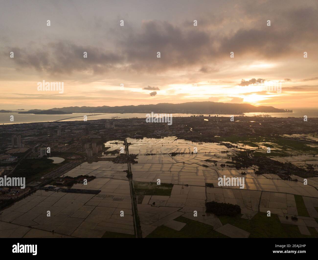 Vista aerea del campo di risaie durante la stagione allagata Foto Stock