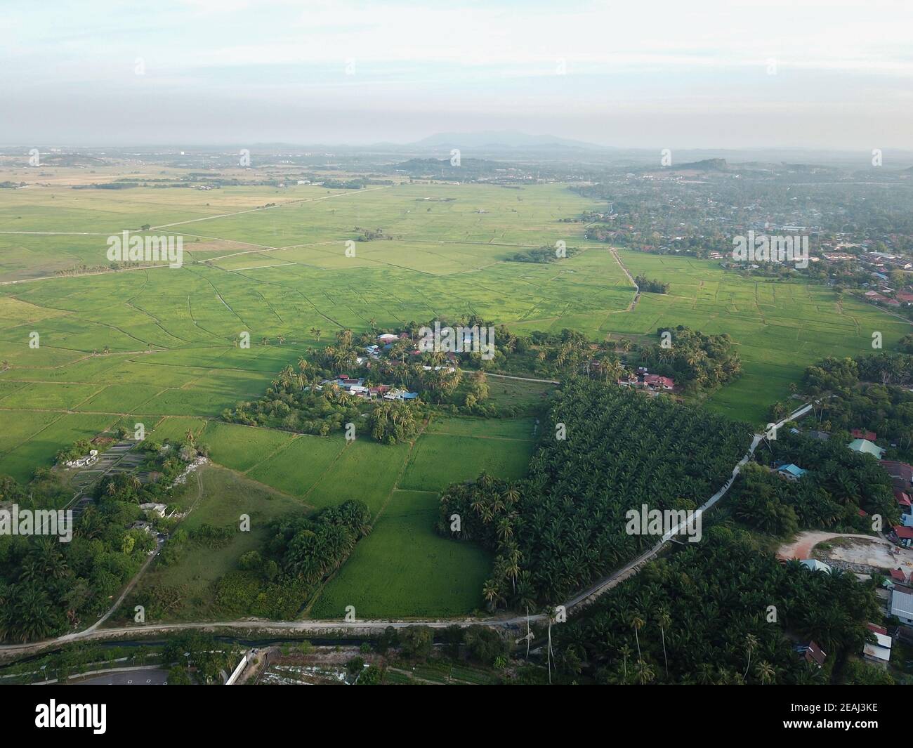 Paesaggio verde di piantagione a Malays kampung Foto Stock