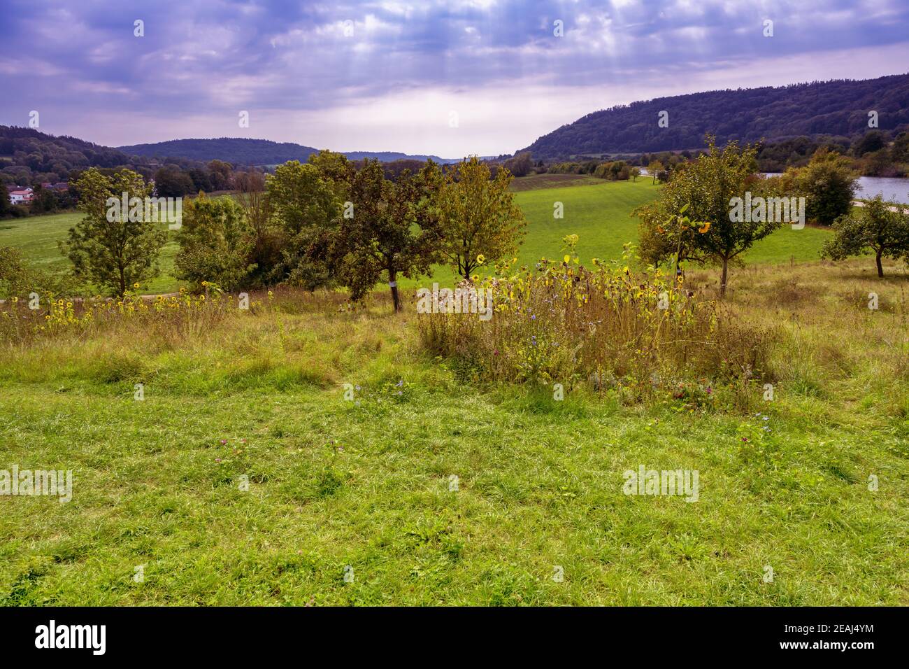 Paesaggio idilliaco nella valle dell'Almuehltal Foto Stock