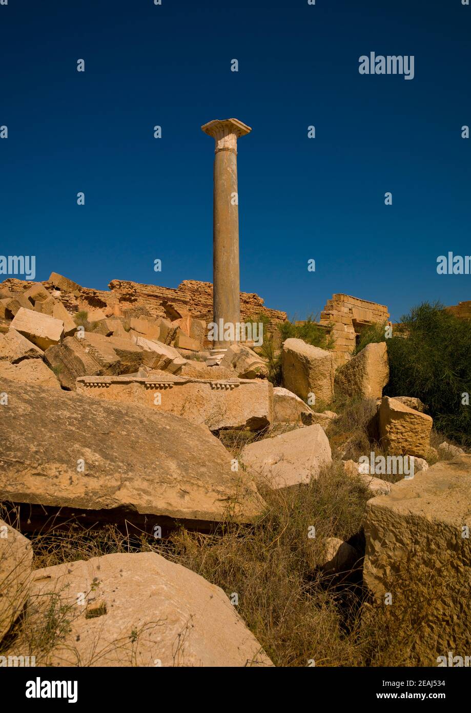 Antiche rovine di leptis magna, Tripolitania, Khoms, Libia Foto Stock