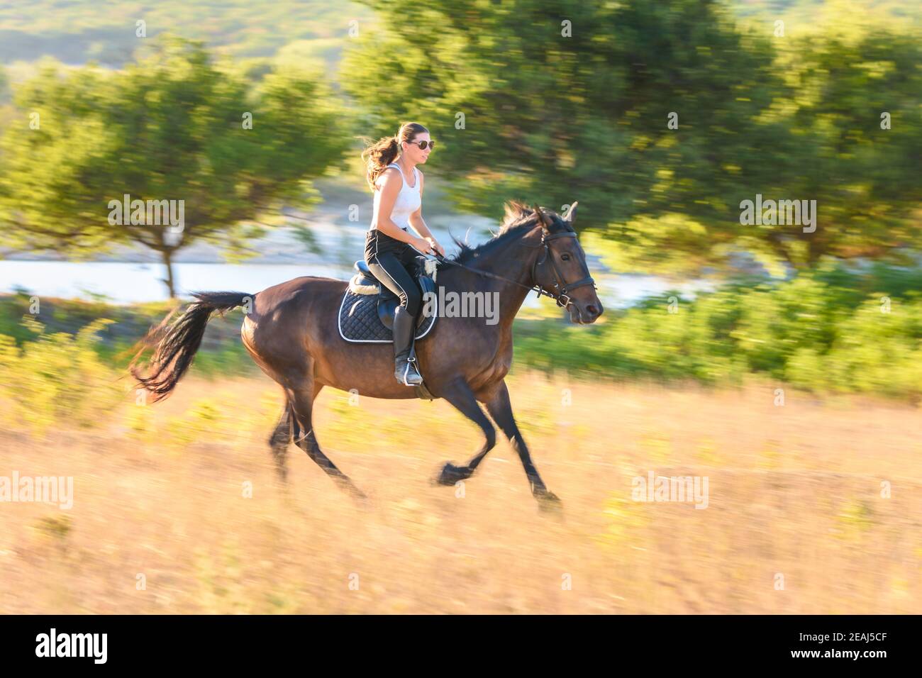 La ragazza cavalca un cavallo attraverso il campo Foto Stock