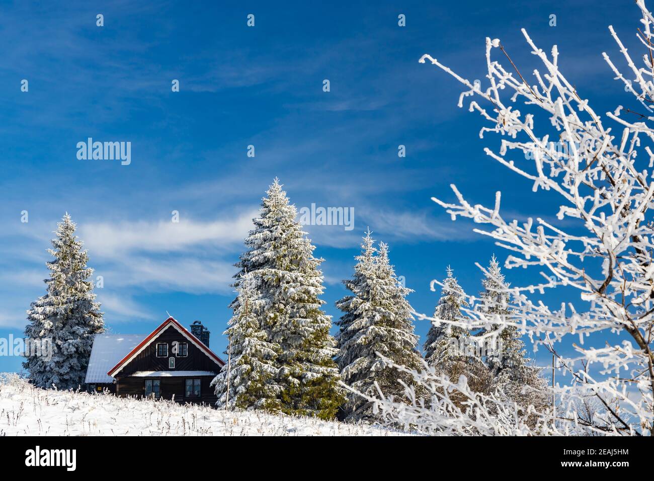 Orlicke montagne in inverno, Repubblica Ceca Foto Stock
