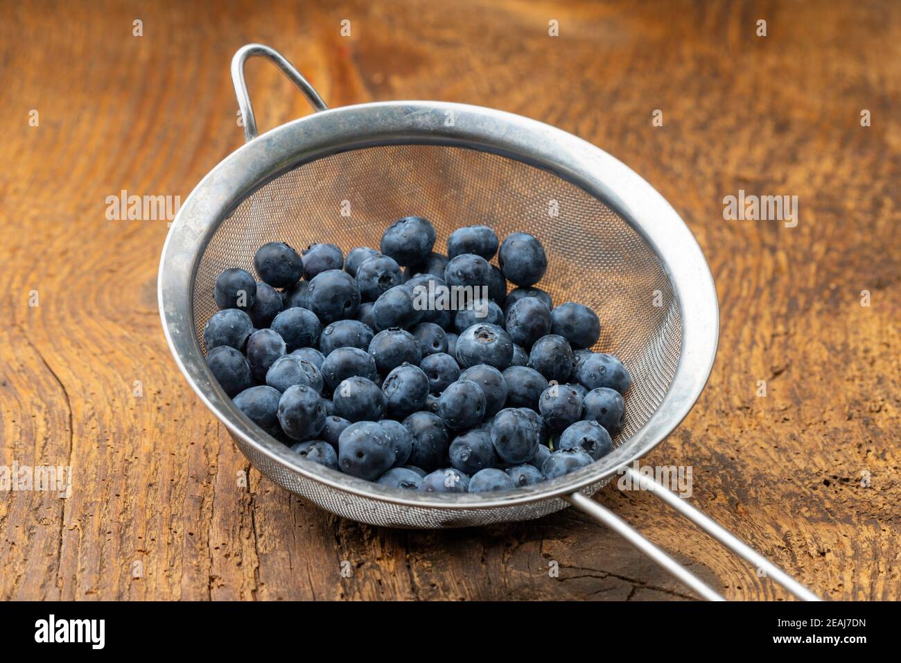 bacche blu Foto Stock