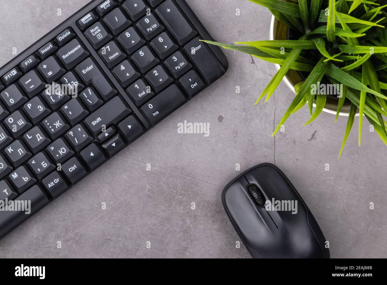 Posto di lavoro su tavolo scuro con spazio per la copia. Tavolo con tastiera, mouse per computer, fiore in vaso. Disposizione piatta. Vista dall'alto del banco dell'ufficio della lavagna. Foto Stock