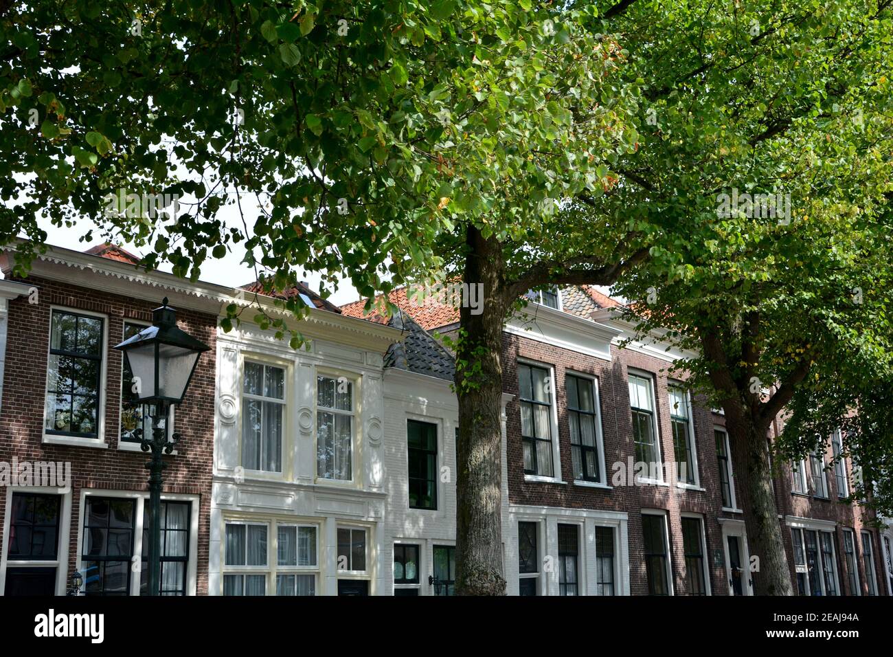 Tipica facciata casa con alberi a ZIERIKZEE, Paesi Bassi Foto Stock