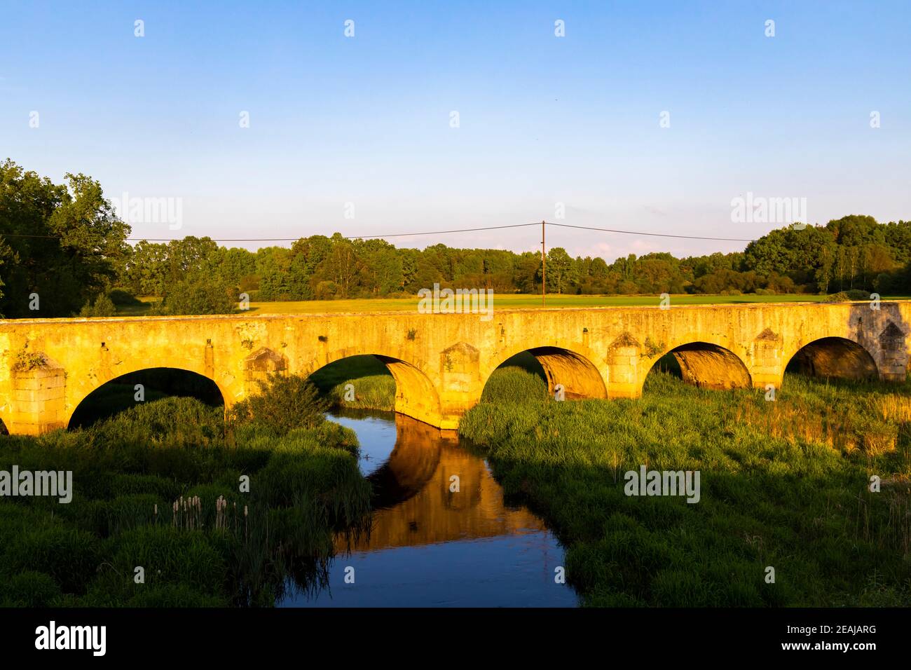 Vecchio ponte di pietra sullo stagno di Vitek vicino a Trebon, Boemia meridionale, Repubblica Ceca Foto Stock