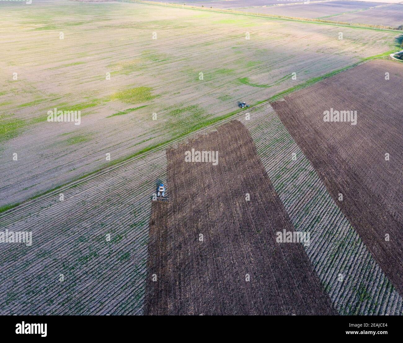 Vista dall'alto del trattore che aratura il campo. Dissodamento del terreno. Coltivazioni di suolo dopo raccolto Foto Stock