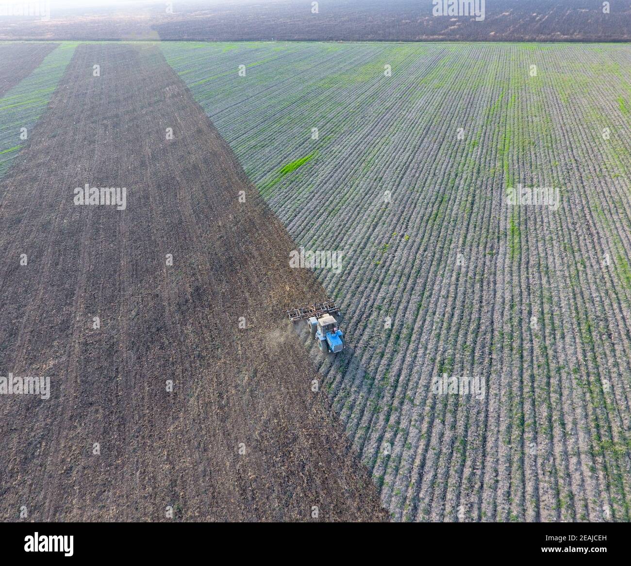 Vista dall'alto del trattore che aratura il campo. Dissodamento del terreno. Coltivazioni di suolo dopo raccolto Foto Stock