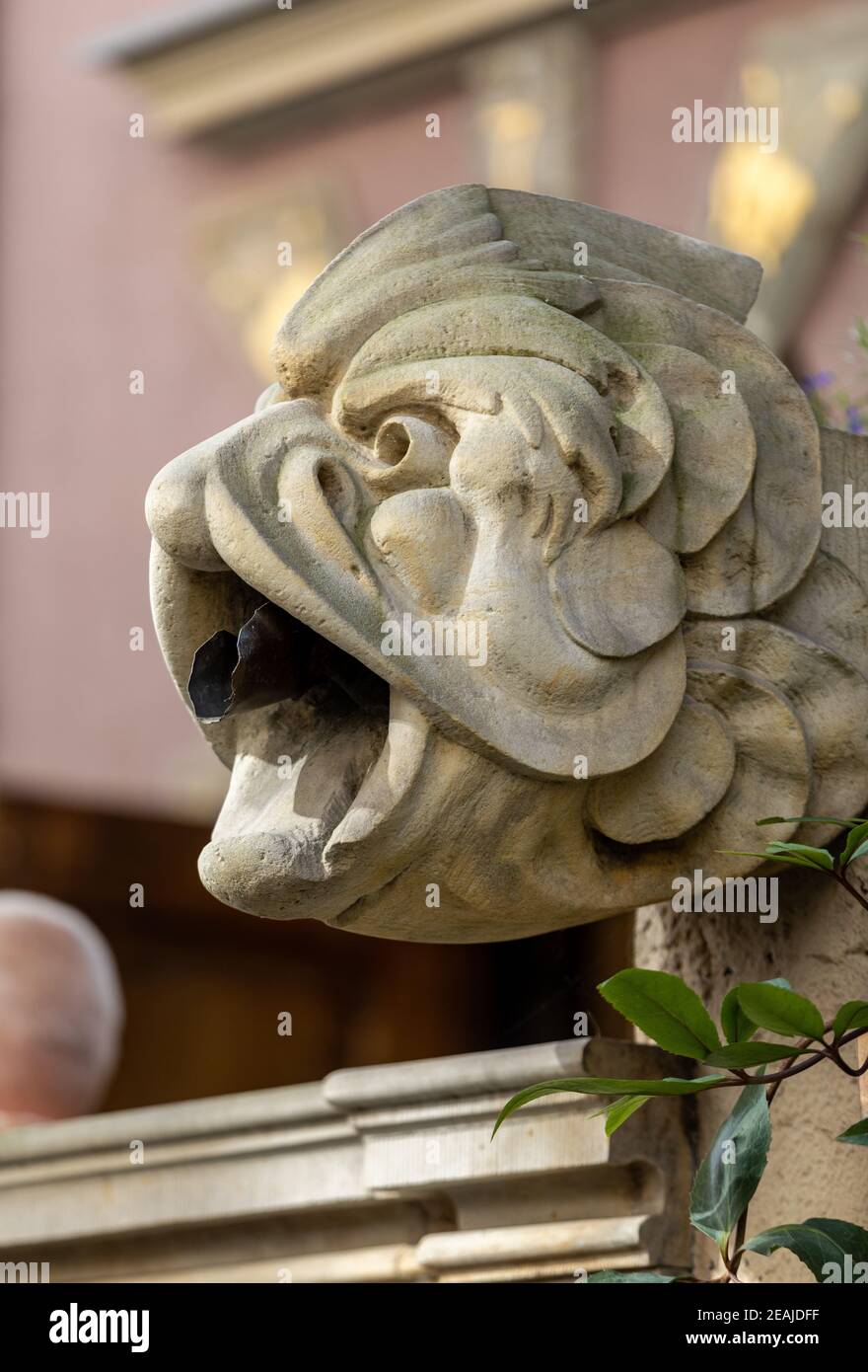 Gargoyle a Mariacka Street a Danzica, Polonia. Foto Stock
