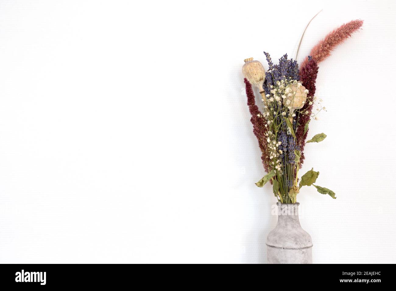 Vaso in cemento grigio con fiori di bouquet essiccati luminosi di fronte alla parete bianca decorazione moderna della casa, spazio copia Foto Stock