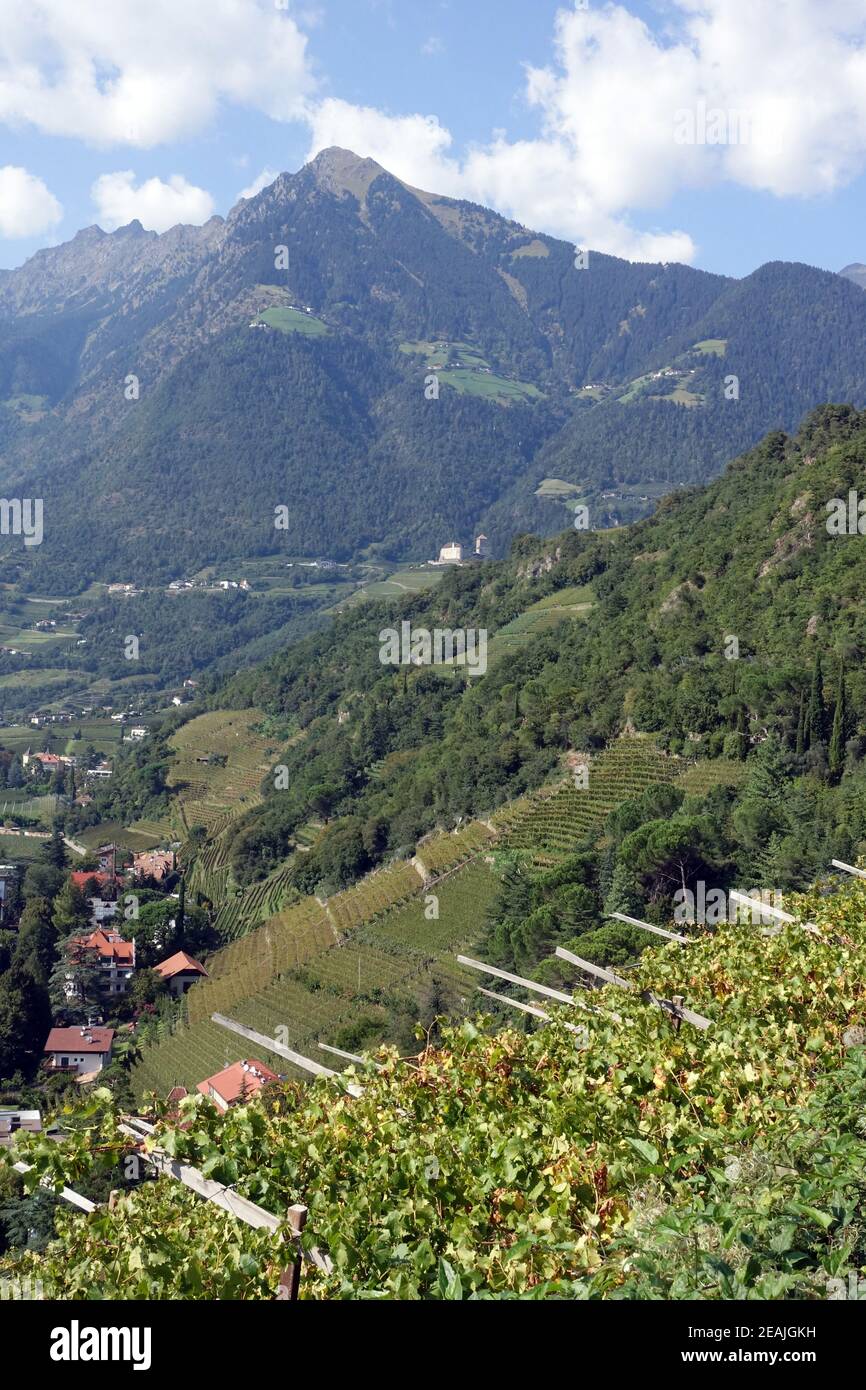 Vista dal sentiero Tappeiner sul Castello Tirolo a Mutspitze Foto Stock