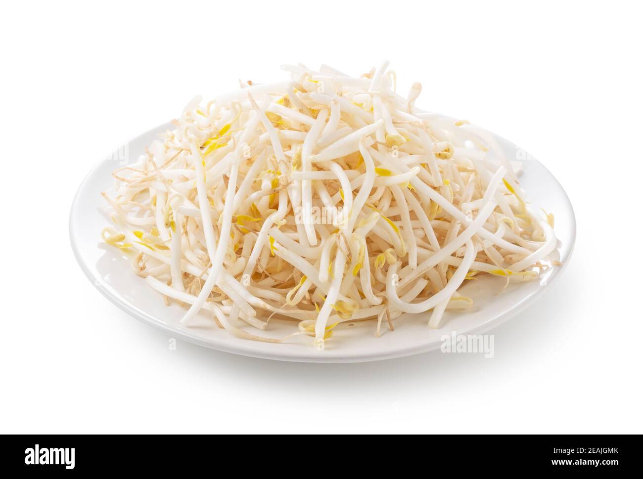 Germogli in un piatto su sfondo bianco Foto Stock