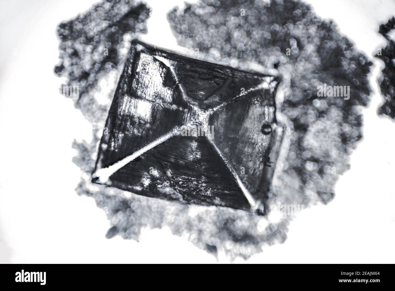 incredibili cristalli di sale al microscopio Foto stock - Alamy