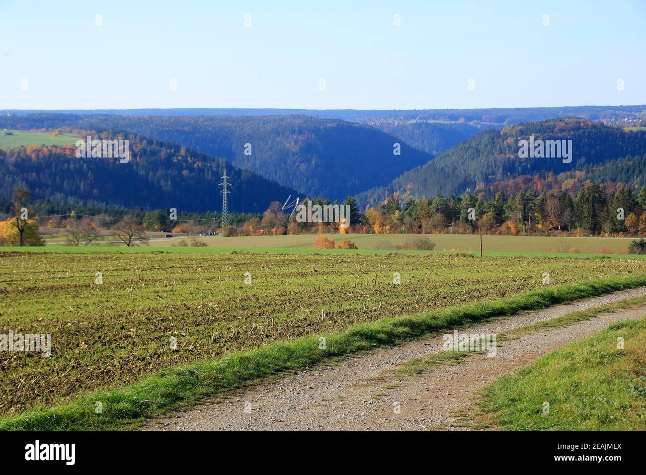 Vista della HeckengÃ¤autunnale u vicino Holzbronn nel Calw distretto Foto Stock