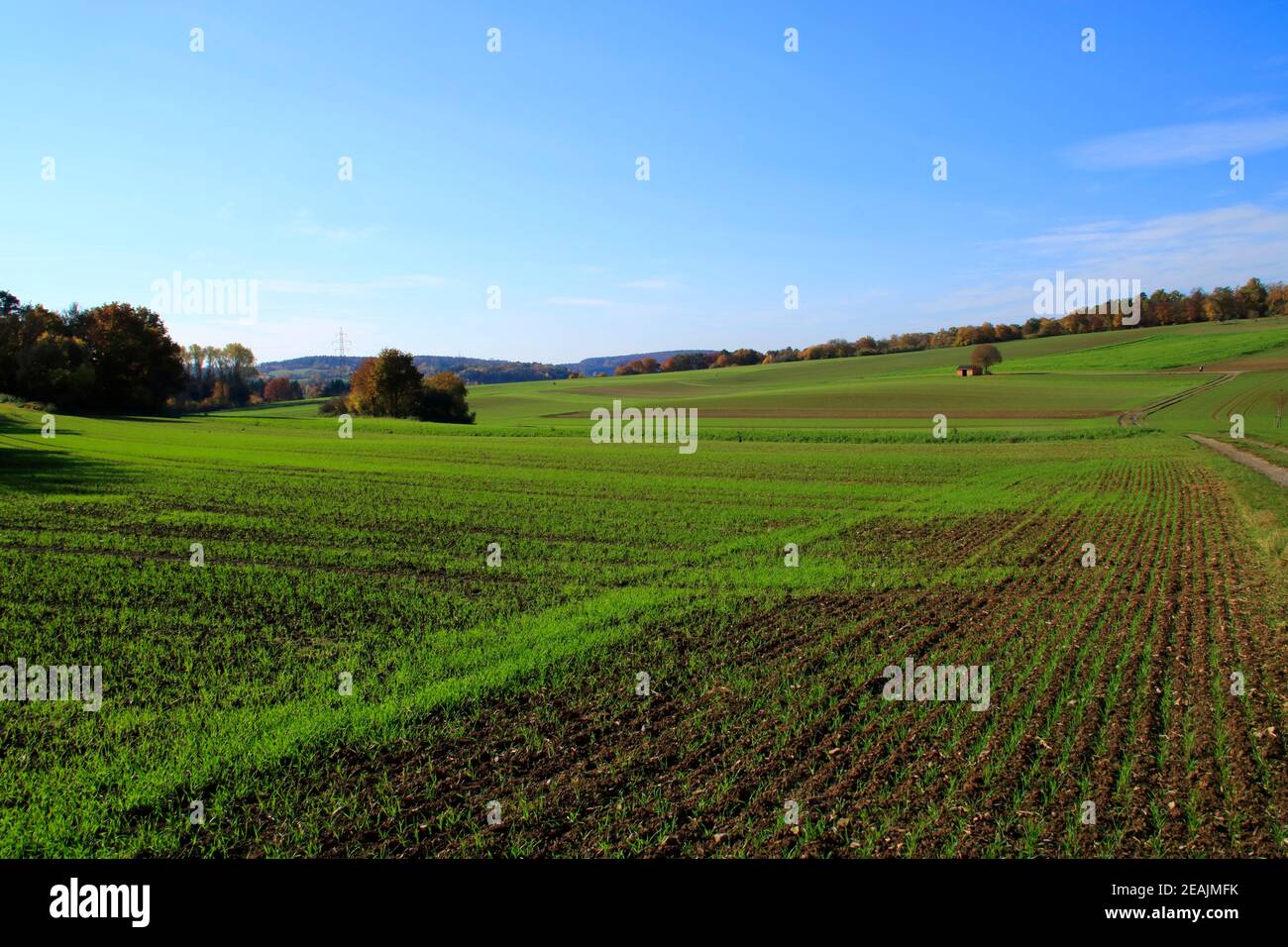 Vista della HeckengÃ¤autunnale u vicino Holzbronn nel Calw distretto Foto Stock