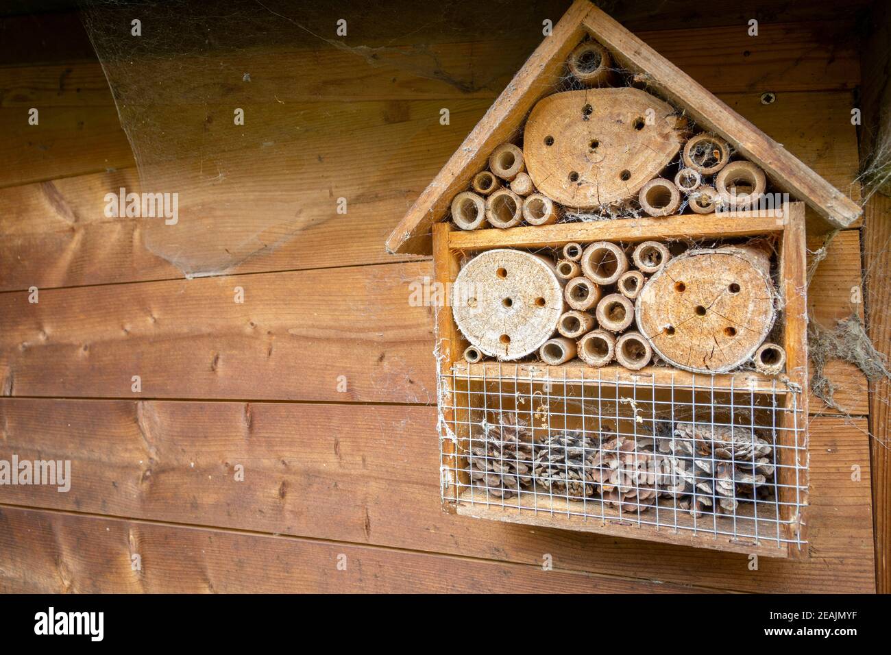 albergo per insetti e api e rifugio montato su parete di legno Foto Stock