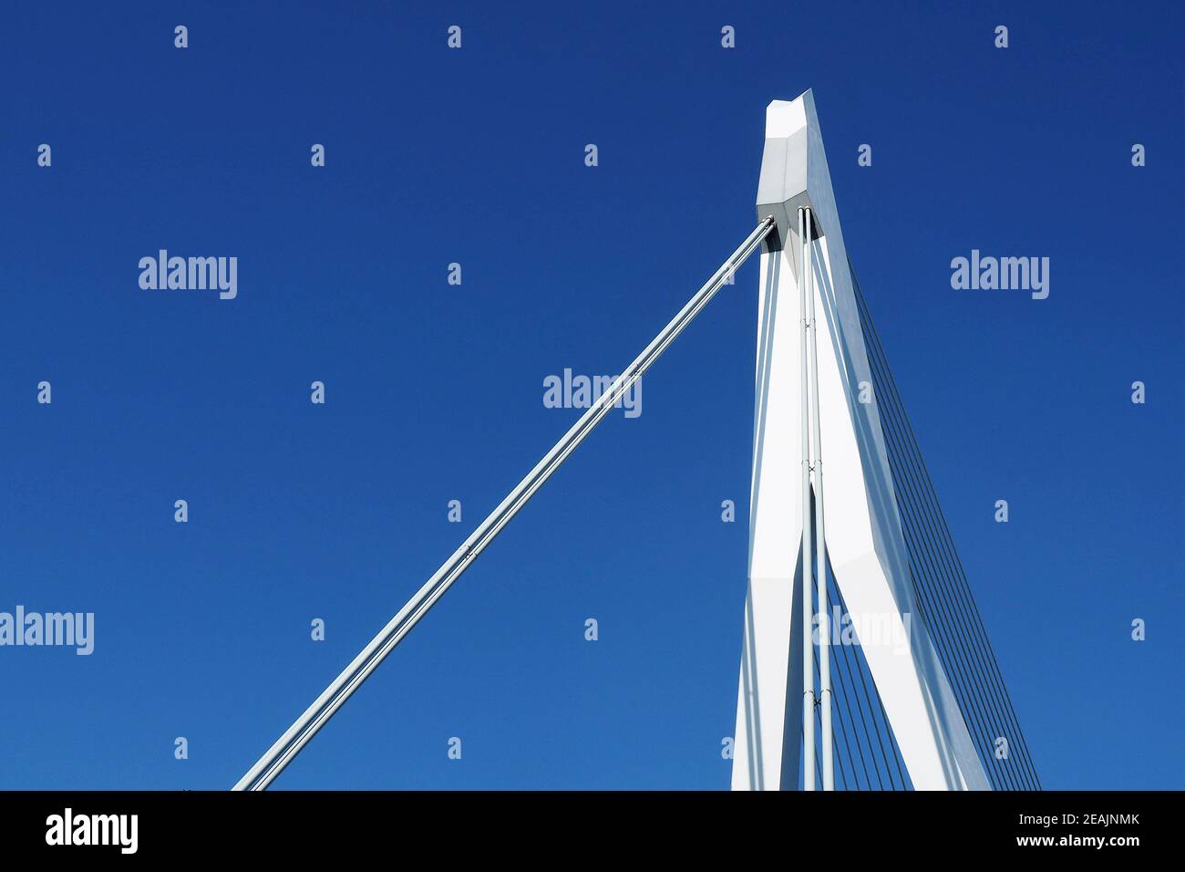 Ponte Erasmus â Rotterdam Foto Stock