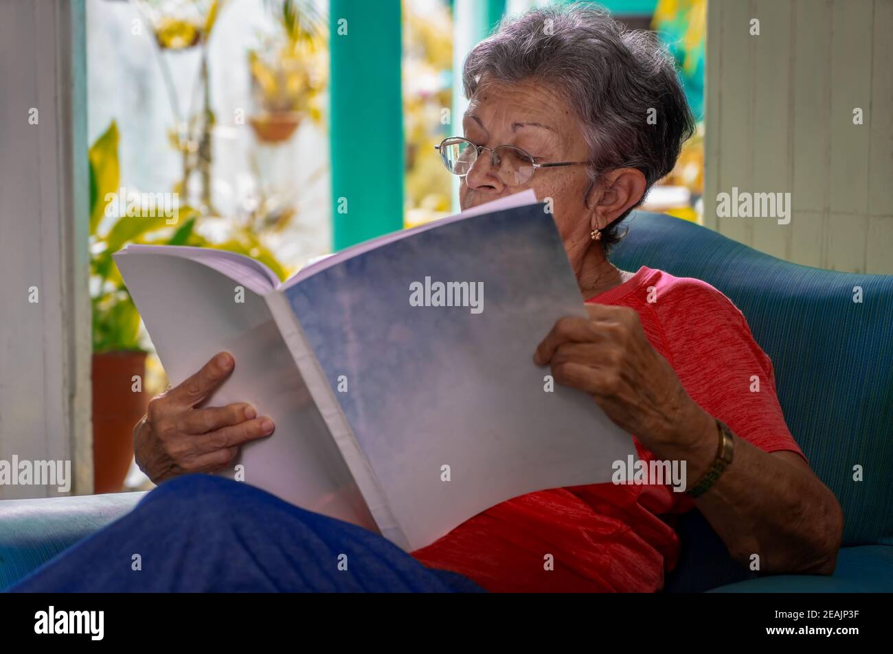 Adulto più anziano e lettura Foto Stock