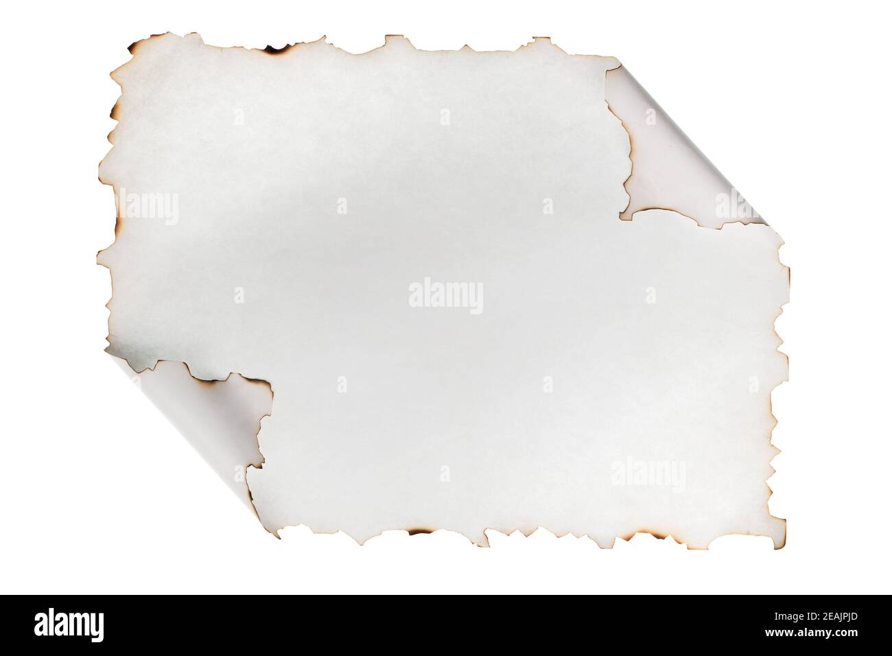 Foglio di carta arrotolato con i bordi bruciati. Isolato Foto Stock