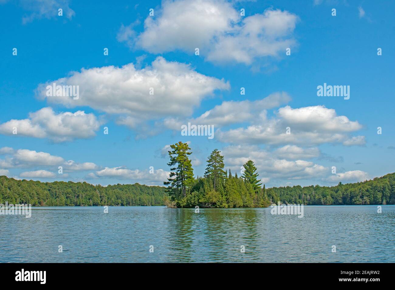 Cieli alti e nuvole soffici nel North Woods Foto Stock