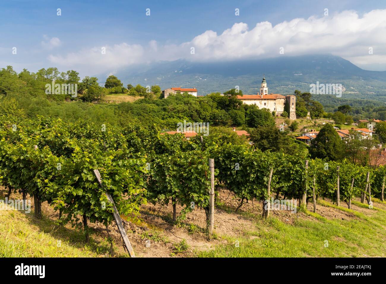 Valle di Vipava nella regione di Gorice, Slovenia Foto Stock