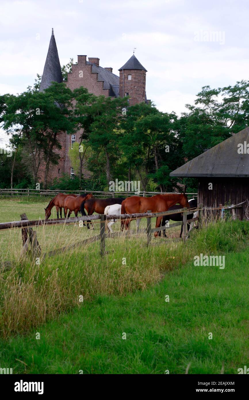 Castello di Binsfeld, storico castello ormeggiato, oggi utilizzato come residenza di anziani Foto Stock