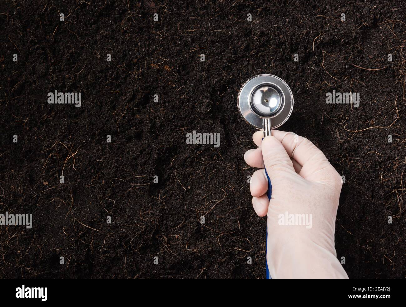 Mano di ricercatore che tiene uno stetoscopio su fertile suolo nero Foto Stock