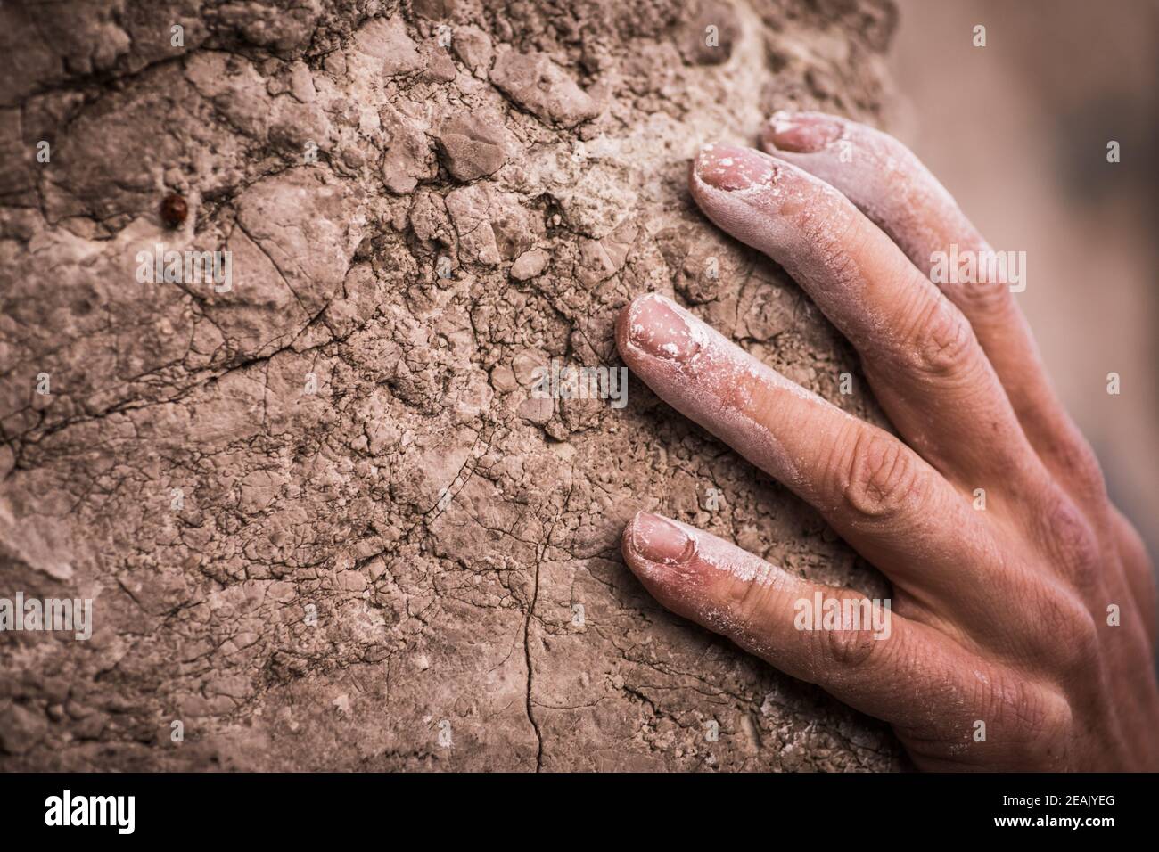 Uomo adulto che tiene a mano su una roccia Foto Stock