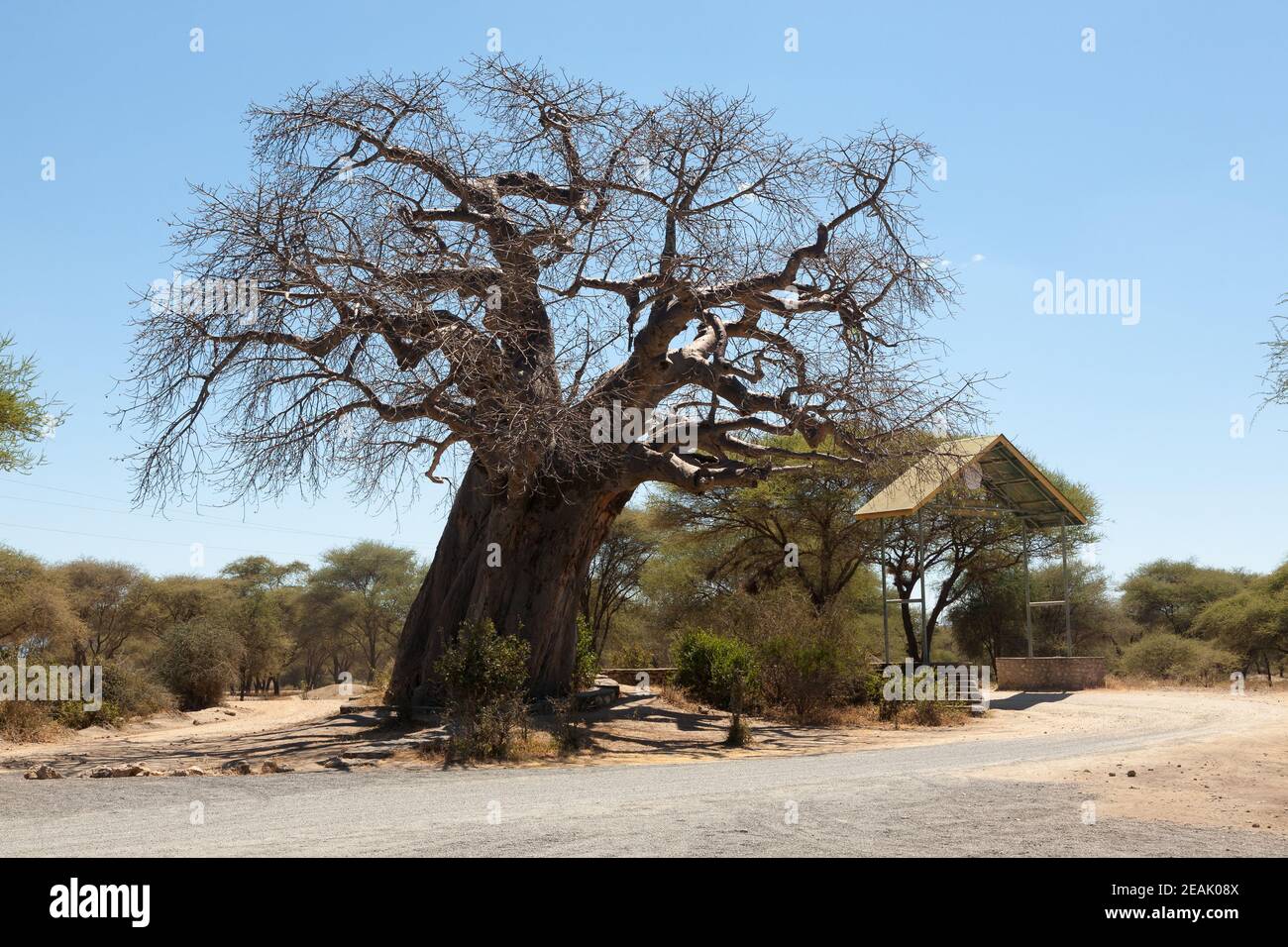 Cancello d'ingresso del Parco Nazionale del Tarangire, Tanzania, Africa Foto Stock