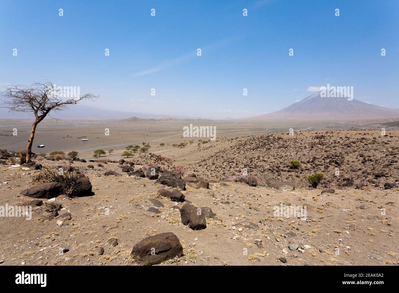 Lago Natron area paesaggio, Tanzania, Africa. OL Doinyo Lengai vulcano Foto Stock