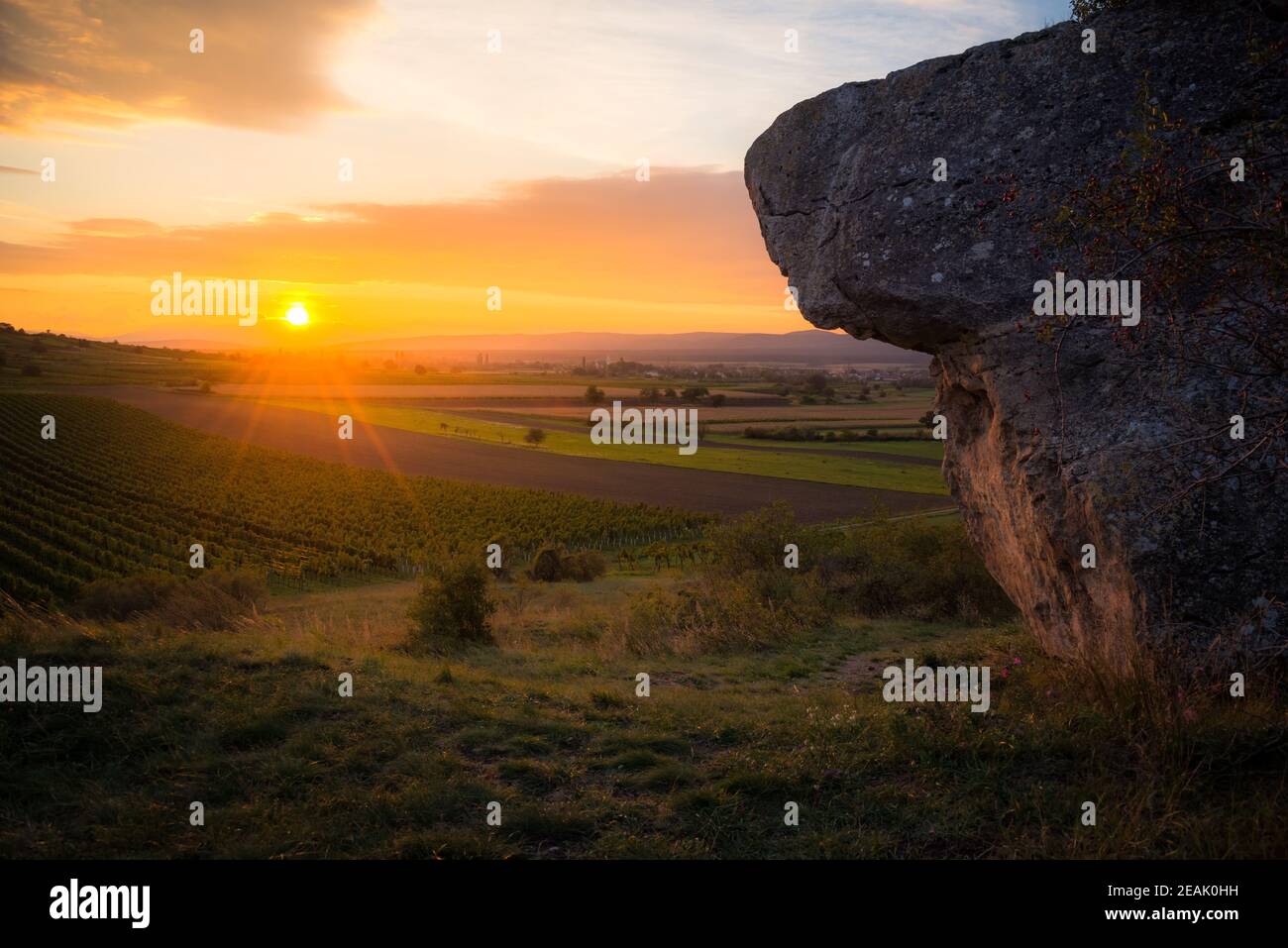 Tramonto su un masso massiv con vigneti chiamati HÃ¶lzstein in Burgenland Foto Stock