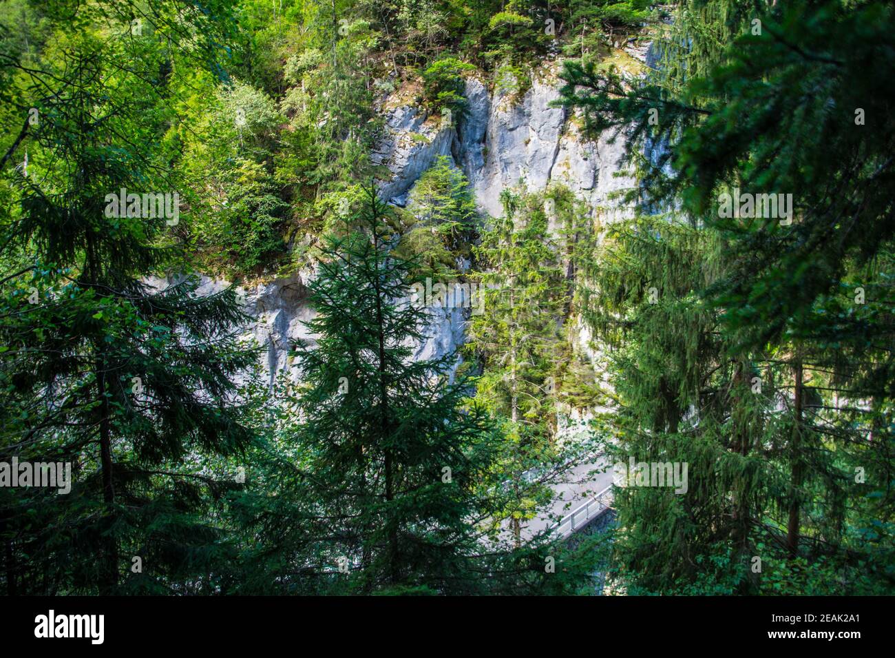 paesaggio delle alpi francesi Foto Stock