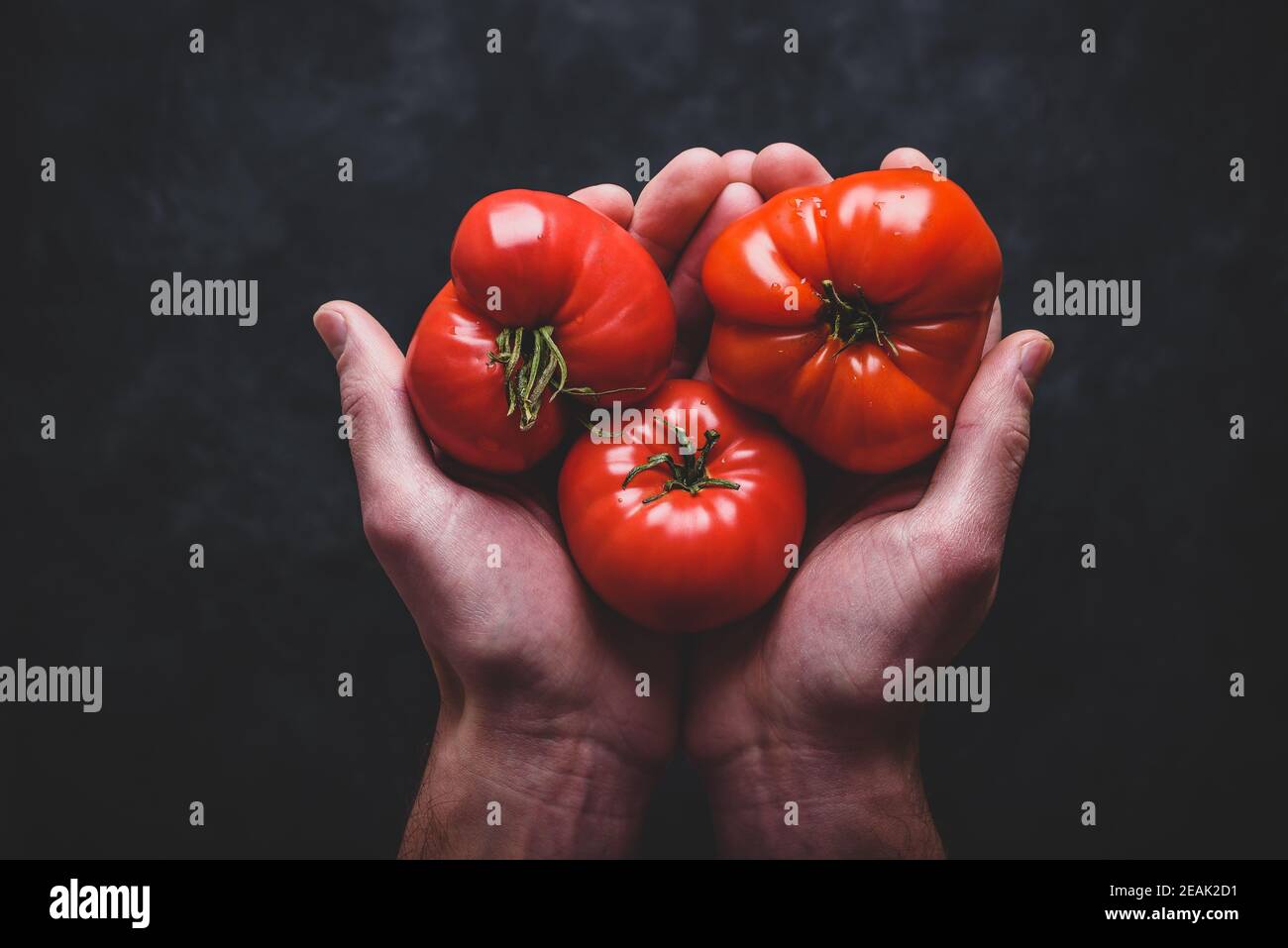 Mani freschi pomodori rossi Foto Stock