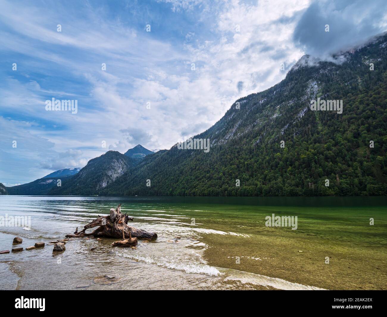 Lago Koenigssee con rocce e tronco nelle Alpi Berchtesgaden, Germania Foto Stock