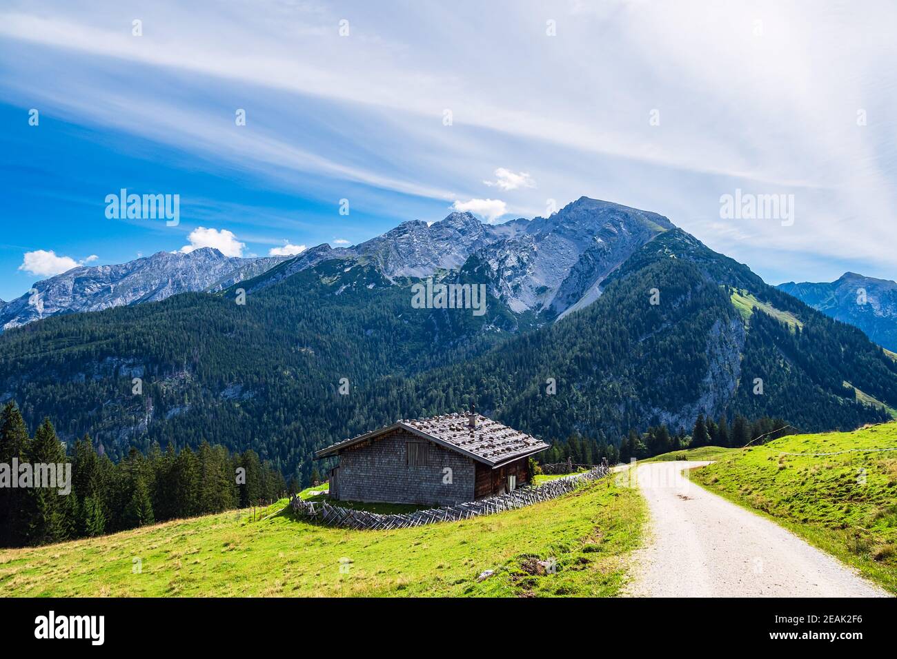 Vista sul pascoli di montagna Litzlalm nelle Alpi, Austria Foto Stock