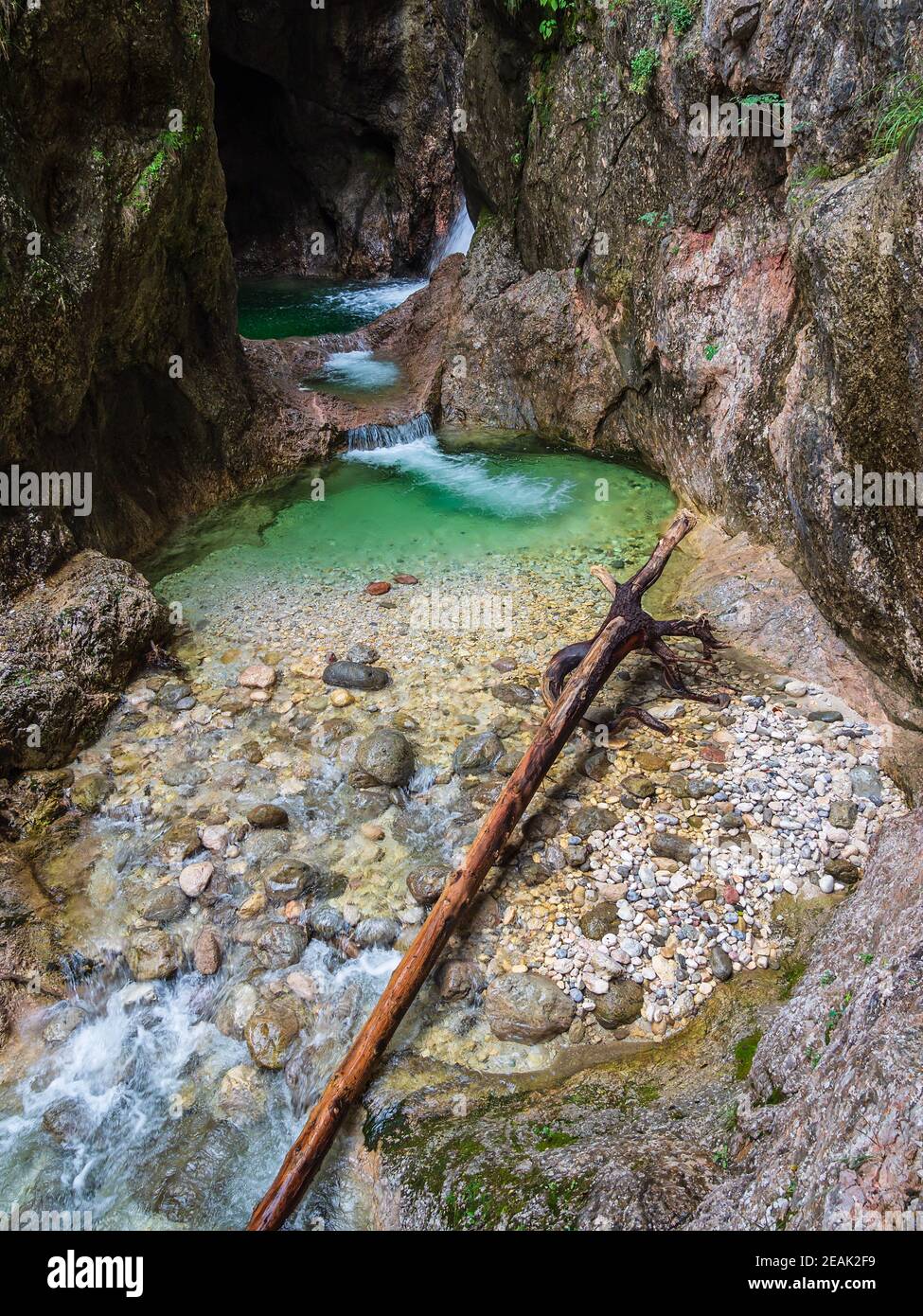 Gorge Almbachklamm nelle Alpi Berchtesgaden, Germania Foto Stock